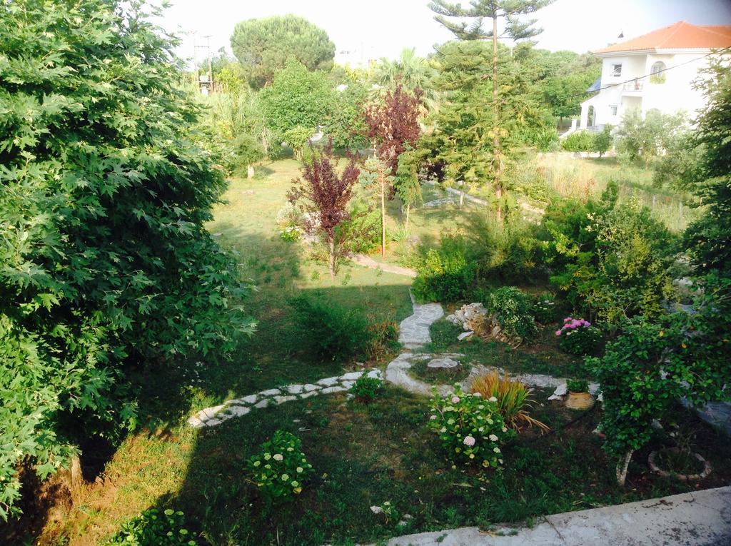 Villa Oneiropagida Превеза Екстер'єр фото